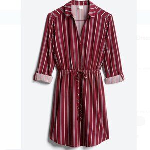 Kaleigh Ashley Shirt Dress
